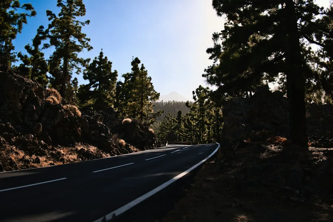 Winding mountain road climbing towards Teide